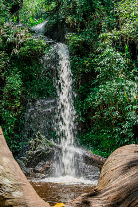 Wasserfall im Dschungel von Chiang Mai