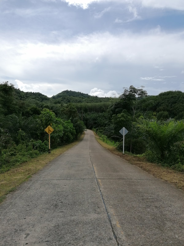 Dschungelroute Road auf Koh Yao Noi